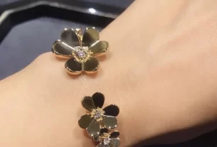四叶草爱心项链：时尚个性饰品，寓意美好爱情的SEO优化标题
