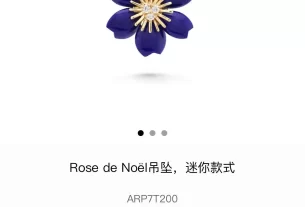 四叶草爱心项链：时尚百搭款，浪漫爱心饰品，提升气质必备！- 热销推荐